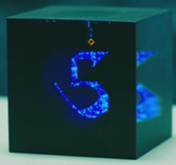 Black cuibe 5
